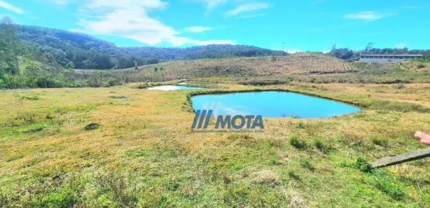 Fazenda / Sítio / Chácara com 3 Quartos à venda, 500m² no Borda do Campo, São José dos Pinhais