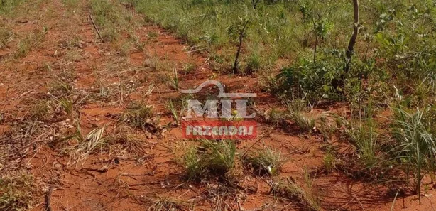Fazenda / Sítio / Chácara à venda, 1050m² no , Ponte Alta do Tocantins
