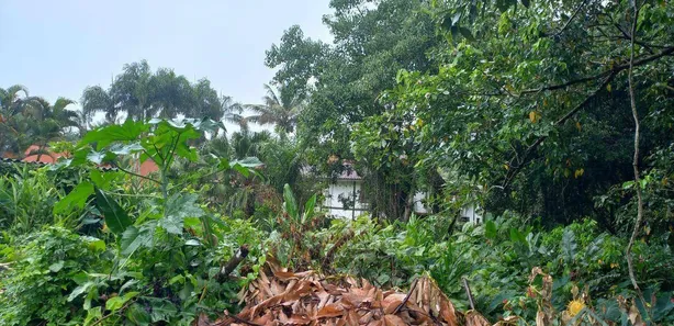 Terreno / Lote / Condomínio à venda, 2340m² no Camburi, São Sebastião