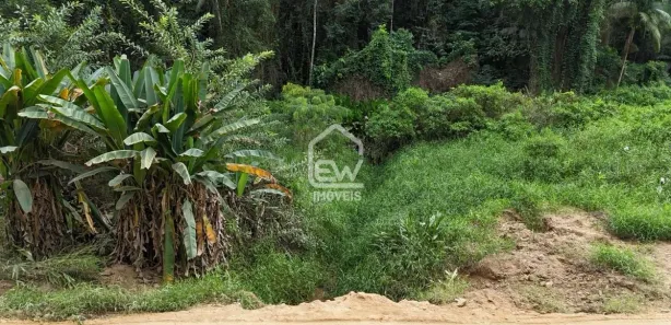 Terreno / Lote / Condomínio com 1 Quarto à venda, 39985m² no , Massaranduba