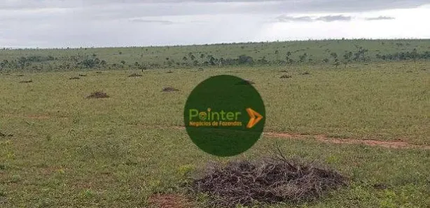 Fazenda / Sítio / Chácara à venda, 17151750m² no , Ponte Alta do Tocantins
