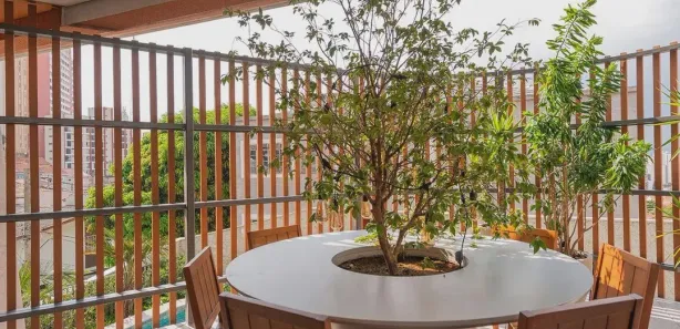 Perdizes Jardim L no Jardim Vera Cruz, São Paulo