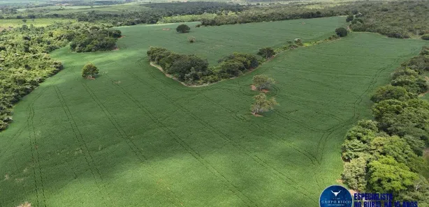 Terreno / Lote / Condomínio à venda, 39m² no Centro, Goianésia