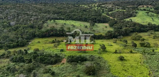 Fazenda / Sítio / Chácara com 3 Quartos à venda, 500m² no Setor Central, Gurupi