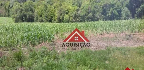 Fazenda / Sítio / Chácara com 1 Quarto à venda, 20000m² no Felpudo, Campo Largo