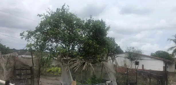 Fazenda / Sítio / Chácara com 3 Quartos à venda, 5500m² no , Vera Cruz