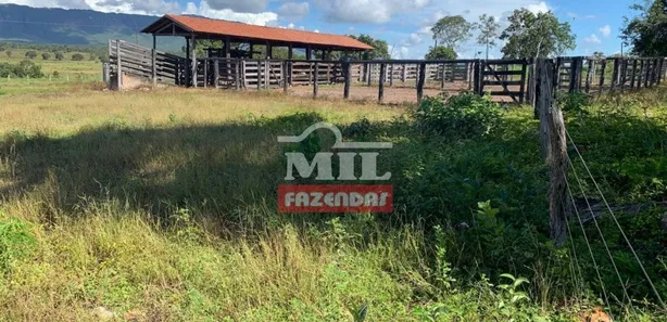 Fazenda / Sítio / Chácara à venda, 500m² no , Paranã