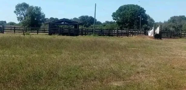 Fazenda / Sítio / Chácara com 1 Quarto à venda, 1880m² no Setor Central, Formoso do Araguaia