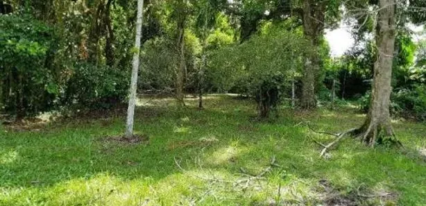 Fazenda / Sítio / Chácara com 3 Quartos à venda, 2160m² no Gaivota (Interior), Itanhaém
