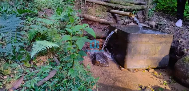 Fazenda / Sítio / Chácara à venda, 24000m² no Paiol de Baixo, Campina Grande do Sul