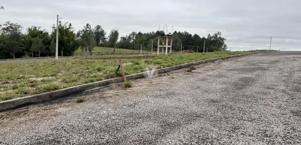 Terreno / Lote / Condomínio à venda, 375m² no Tomazetti, Santa Maria