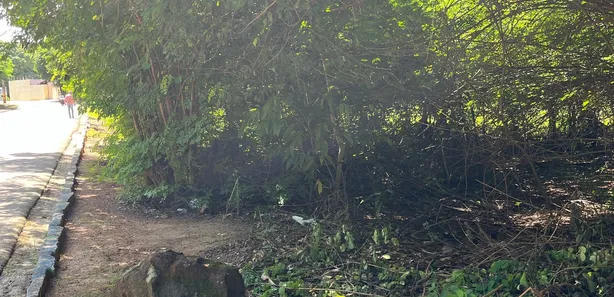 Terreno / Lote / Condomínio à venda, 46000m² no , Barra de Santo Antônio