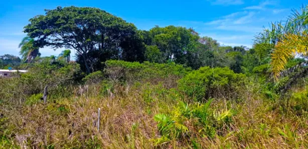 Terreno / Lote / Condomínio à venda, 360m² no Praia do Ervino, São Francisco do Sul