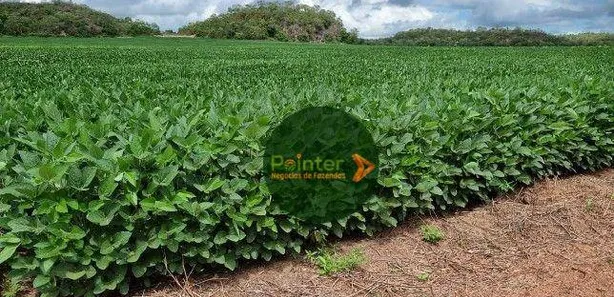 Fazenda / Sítio / Chácara à venda, 9937125m² no , Pedro Afonso
