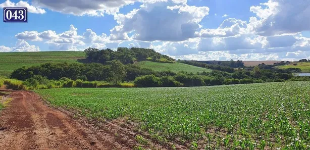 Terreno / Lote / Condomínio à venda, 208000m² no Rodovia, Sertanópolis