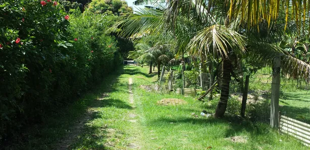 Fazenda / Sítio / Chácara com 5 Quartos à venda, 273m² no Manoel Ribeiro (Ponta Negra), Maricá