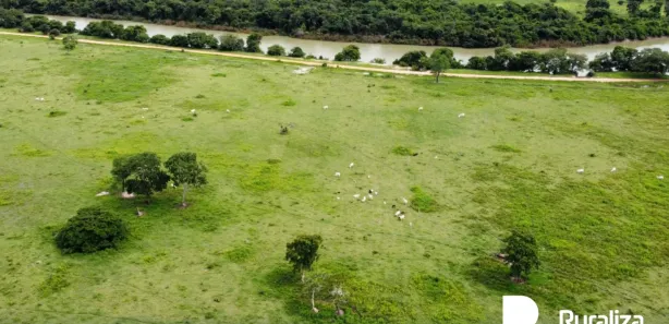 Fazenda / Sítio / Chácara à venda, 816m² no , Formoso do Araguaia