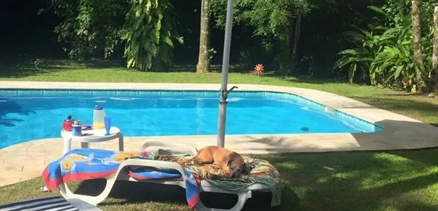 Casa de Condomínio com 5 Quartos para alugar, 300m² no Riviera, Bertioga