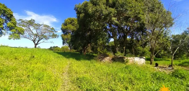 Fazenda / Sítio / Chácara com 2 Quartos à venda, 50000m² no Bicuíba (Bacaxá), Saquarema