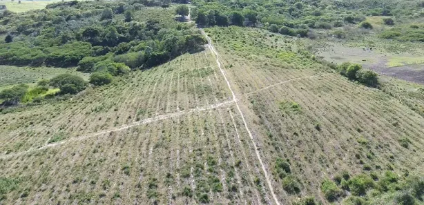 Fazenda / Sítio / Chácara à venda, 140000m² no , Sairé