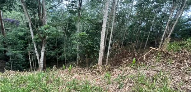 Terreno / Lote / Condomínio à venda, 3000m² no Quarteirão Ingelheim, Petrópolis