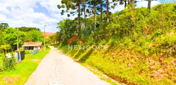 Fazenda / Sítio / Chácara com 3 Quartos à venda, 13800m² no Jardim das Acácias, Campo Largo
