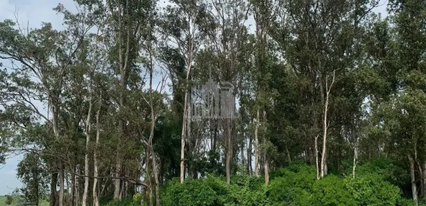 Terreno / Lote / Condomínio à venda, 250m² no Área Rural de Jaguariúna, Jaguariúna