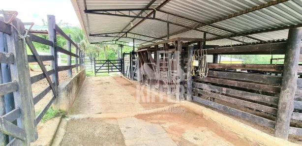 Fazenda / Sítio / Chácara com 3 Quartos à venda, 350m² no Funchal, Cachoeiras de Macacu