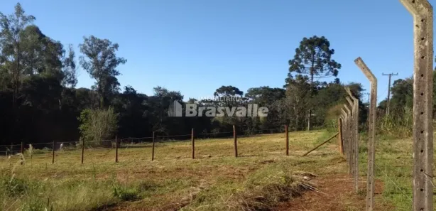 Fazenda / Sítio / Chácara à venda, 5000m² no Cataratas, Cascavel