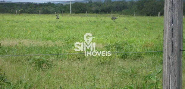 Fazenda / Sítio / Chácara à venda, 1507m² no , Pedro Afonso