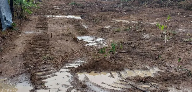 Fazenda / Sítio / Chácara à venda, 142m² no , Lagoa da Confusão