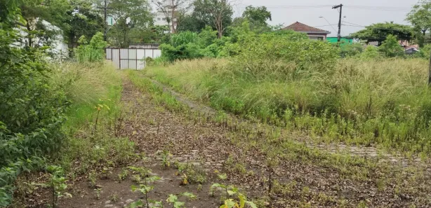 Terreno / Lote / Condomínio à venda, 3000m² no Vila Paulista, Cubatão