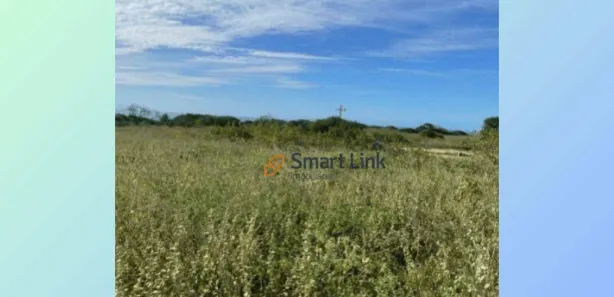 Terreno / Lote / Condomínio à venda, 41000m² no Mel de Baixo, Areia Branca