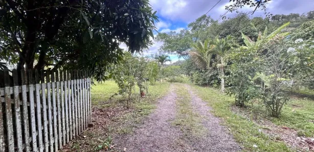 Fazenda / Sítio / Chácara com 6 Quartos à venda, 42000m² no Serra Negra, Bezerros