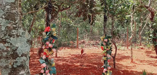 Fazenda / Sítio / Chácara com 3 Quartos à venda, 29400m² no , Brasília