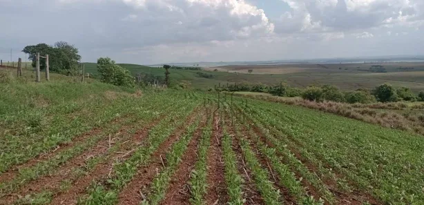 Fazenda / Sítio / Chácara à venda, 193600m² no Centro, Bela Vista do Paraíso