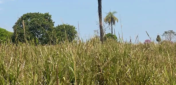 Fazenda / Sítio / Chácara à venda, 136m² no Setor Central, Cristalândia