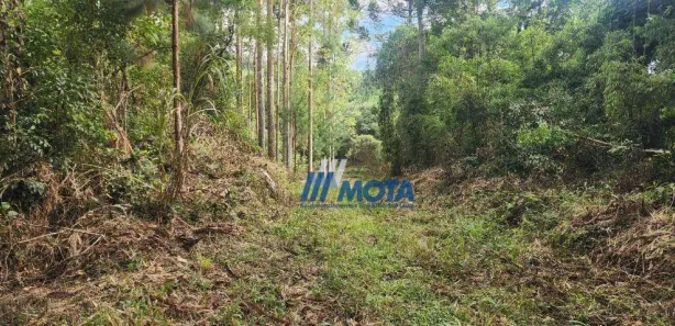 Fazenda / Sítio / Chácara à venda, 186700m² no Área Rural de Campo Largo, Campo Largo