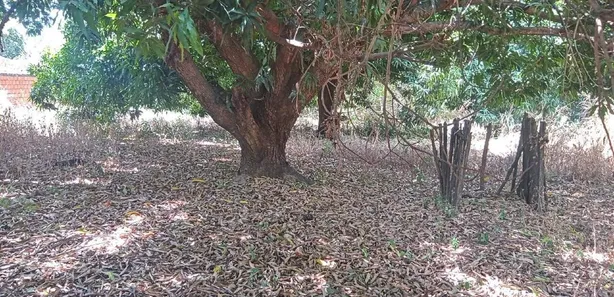 Terreno / Lote / Condomínio à venda, 4600m² no Parque Piauí II, Timon