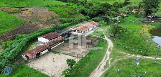 Fazenda / Sítio / Chácara à venda, 451900m² no , Canhotinho
