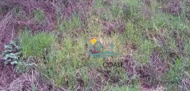 Terreno / Lote / Condomínio à venda, 400m² no São Francisco da Praia, São Sebastião