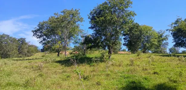 Fazenda / Sítio / Chácara com 3 Quartos à venda, 1920000m² no Planaltina, Brasília