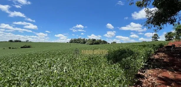 Fazenda / Sítio / Chácara com 6 Quartos à venda, 4m² no Parque Industrial José Garcia Gimenes, Cambé