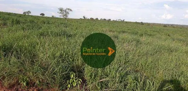 Fazenda / Sítio / Chácara à venda, 12387375m² no Área Rural de Gurupi, Gurupi
