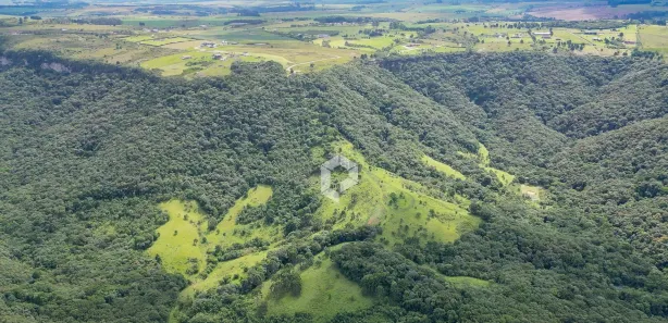 Terreno / Lote / Condomínio à venda, 22003m² no São Luiz do Purunã, Balsa Nova