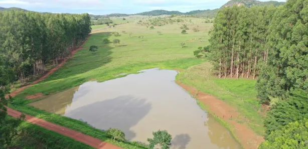 Fazenda / Sítio / Chácara com 4 Quartos à venda, 6000000m² no , Padre Bernardo