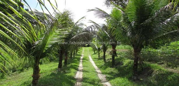 Fazenda / Sítio / Chácara com 3 Quartos à venda, 118096m² no Maraporã, Cachoeiras de Macacu