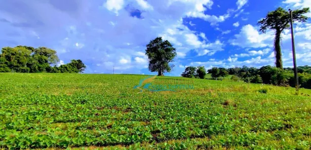 Fazenda / Sítio / Chácara à venda, 72600m² no , Catanduvas