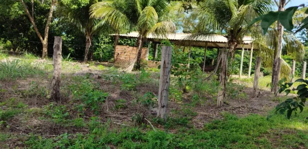Terreno / Lote / Condomínio com 1 Quarto à venda, 500m² no , Paranã
