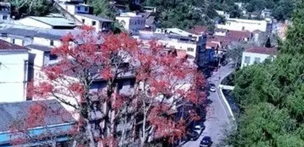 Apartamento com 2 Quartos à venda, 79m² no Centro, Petrópolis